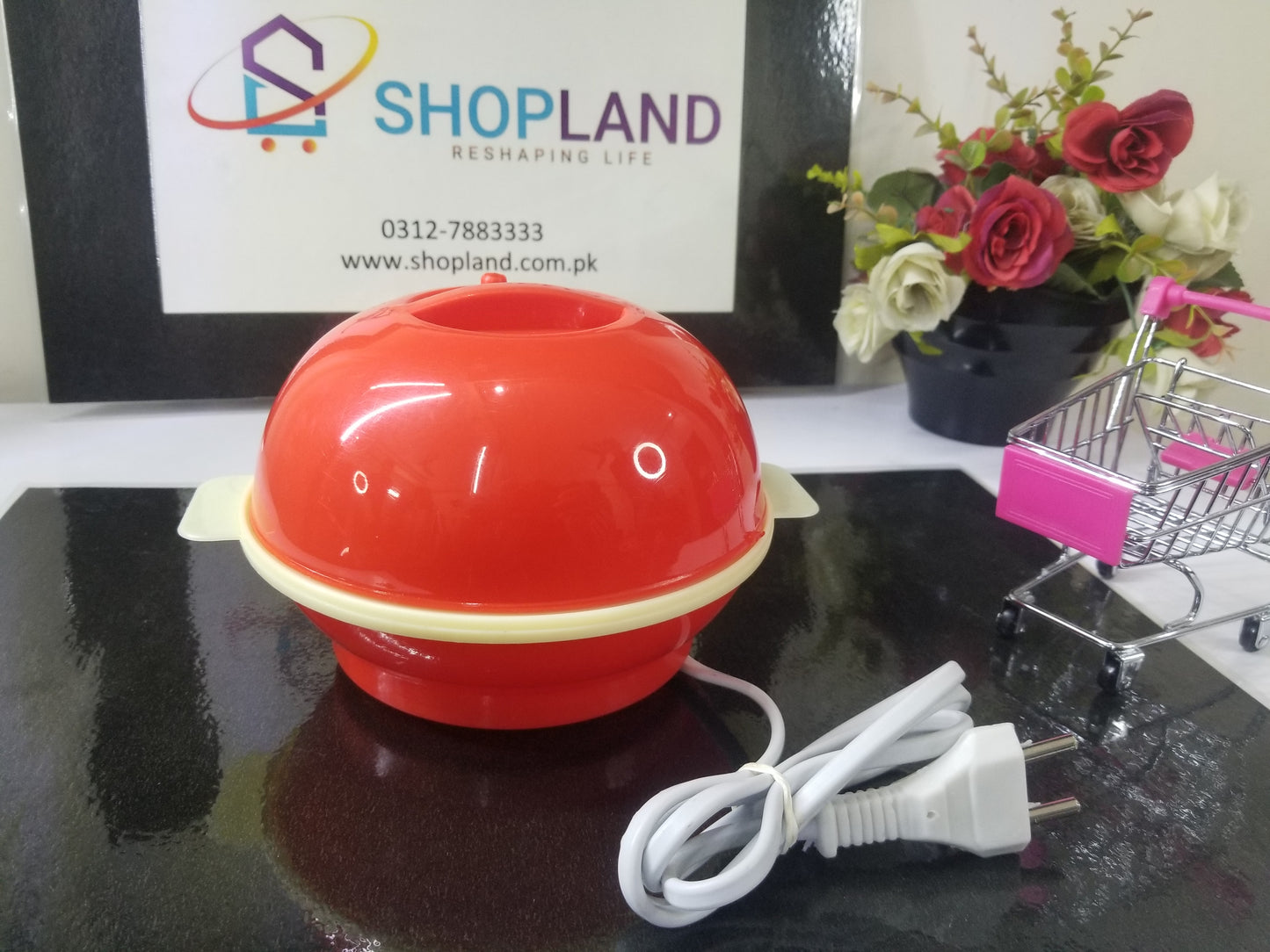 3 in 1 electric egg boiler/poacher/cooker vegetable steamer