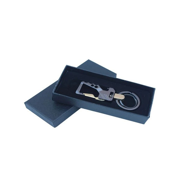Pack of 2 stylish metal key chain