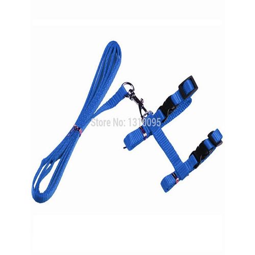 Cat harness and leash