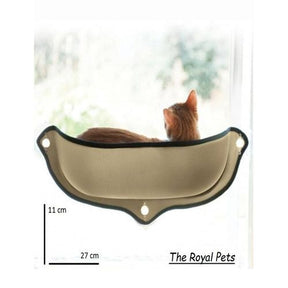 Cat window carrier