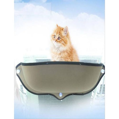 Cat window carrier