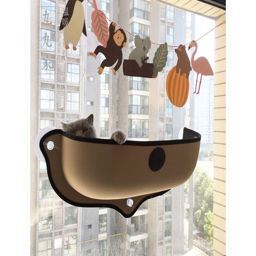 Cat window carrier