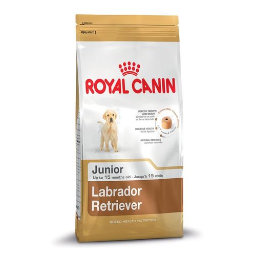 Labrador retriever junior - 3 kg