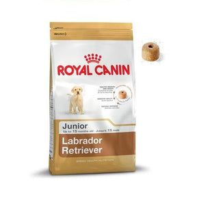 Labrador retriever junior - 3 kg