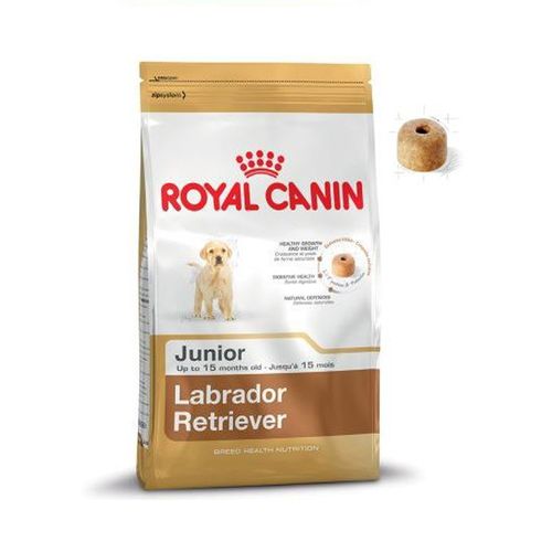 Labrador retriever junior - 3 kg