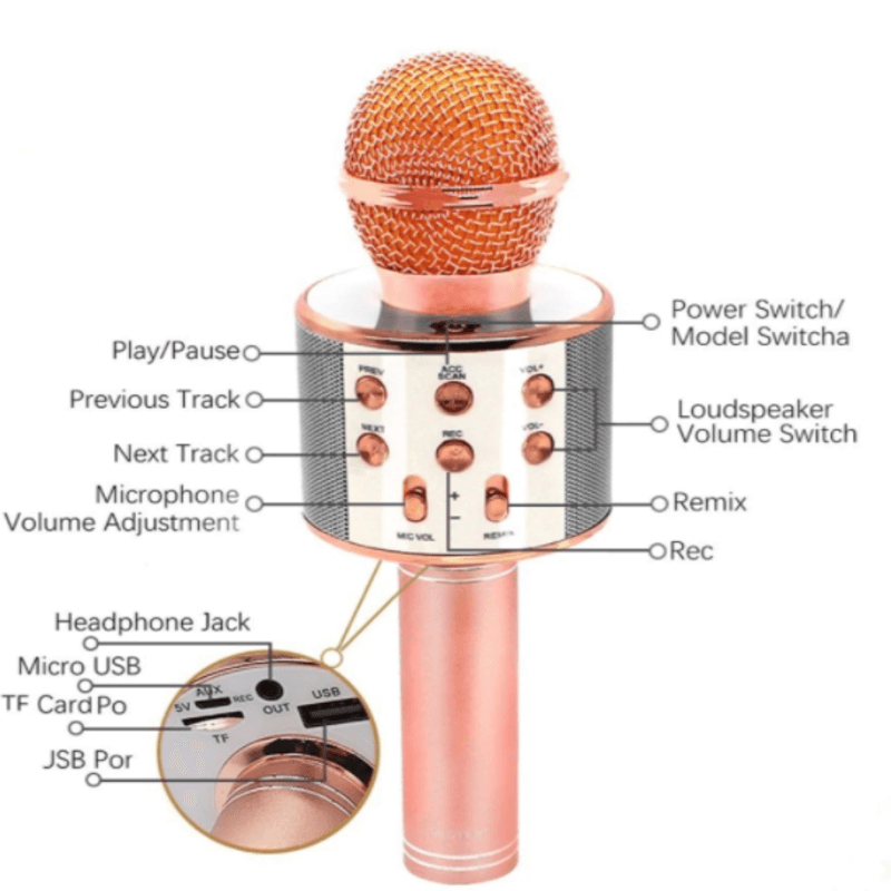 Wireless karaoke mic with speaker