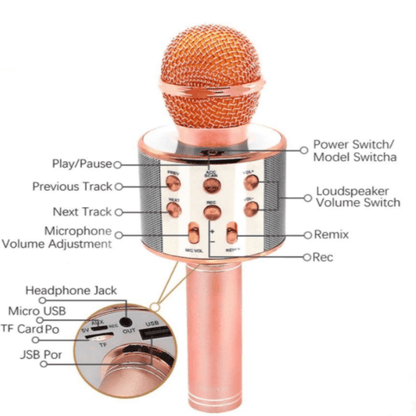 Wireless karaoke mic with speaker