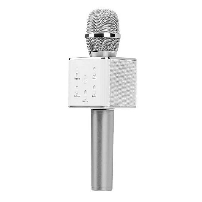 Speech-Mic-With-Loud-Speaker-Built-In-And-Echo-Option